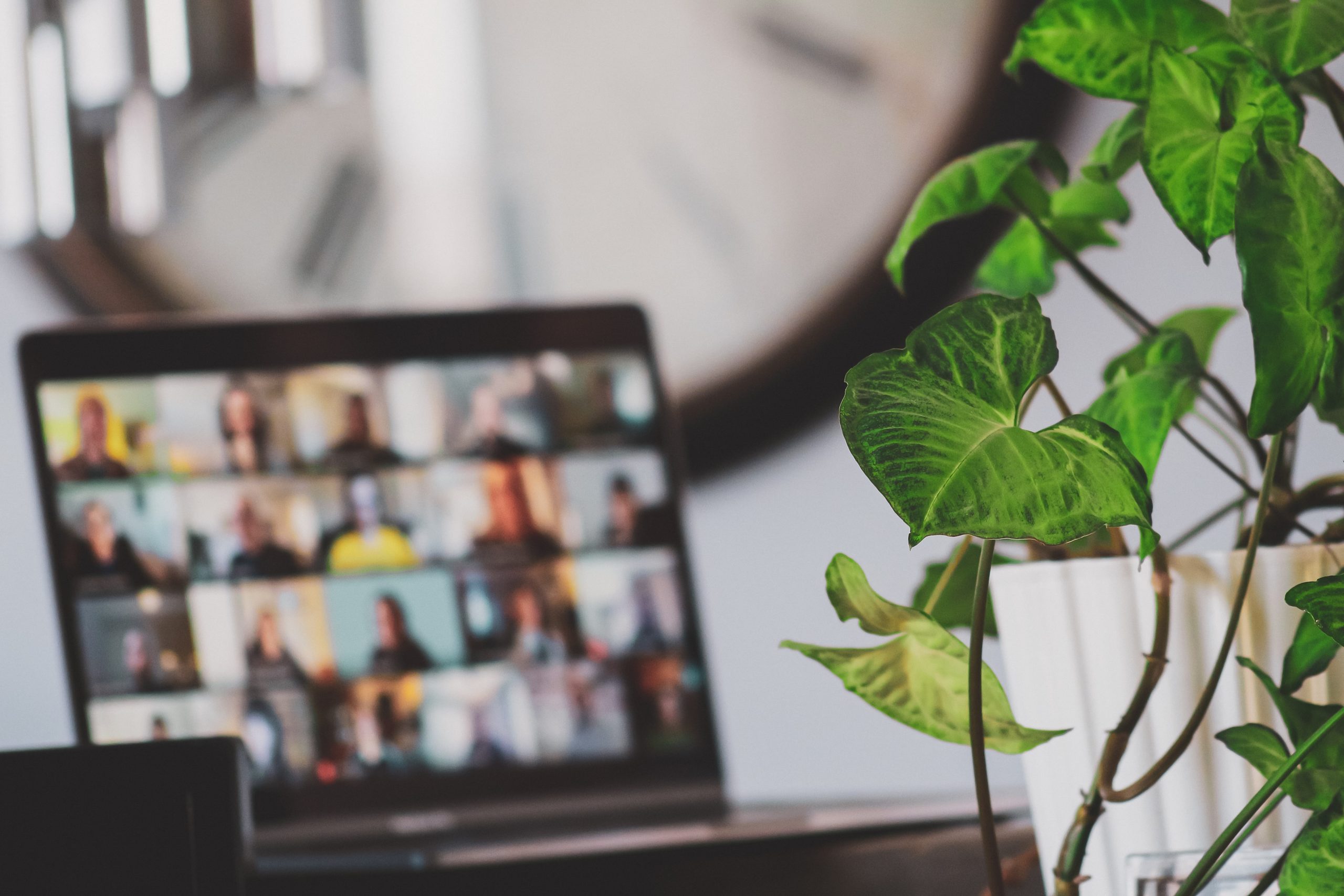 teletrabajo productivo
