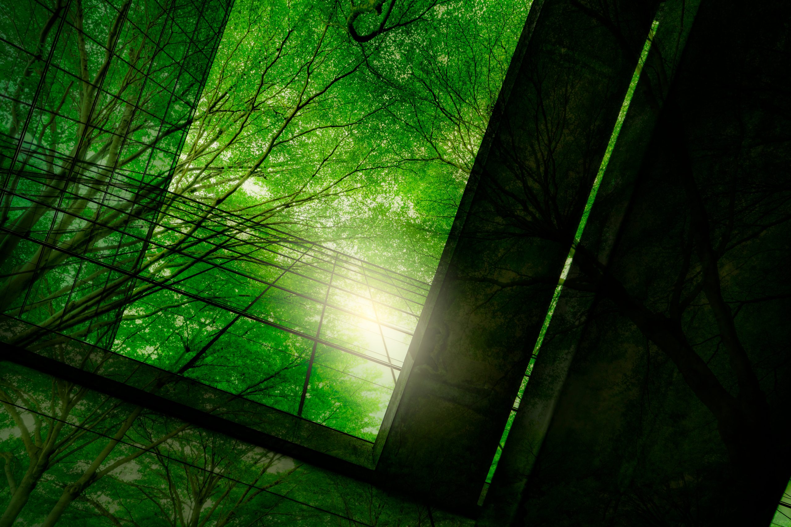ISO 14001